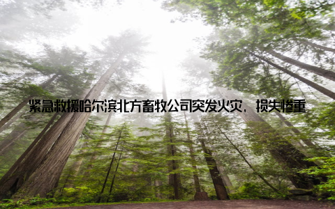 紧急救援哈尔滨北方畜牧公司突发火灾, 损失惨重, 我们全力以赴大家好, 我是哈尔滨北方畜牧公司的一名员工