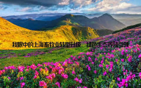 我眼中的上海畜牧业转型升级, 绿色生态养殖引领行业新风尚嘿, 大家好! 今天我要和大家分享一个我亲身经历的故事, 那就是上海畜牧业的转型升级, 以及绿色生态养殖如何引领行业新风尚