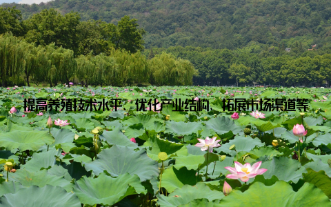 提高养殖技术水平、优化产业结构、拓展市场渠道等方式, 提升养殖业的整体竞争力 绿色发展在绿色发展理念的指导下, 养殖业注重资源节约和环境保护