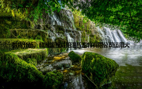 数据分析, 精准管理咸阳温氏畜牧有限公司运用大数据分析技术, 对养殖过程中的各项数据进行分析, 实现精准管理