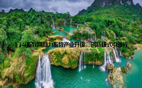 114畜牧网助力畜牧产业升级, 创新模式引领行业新风向, 为年轻人开启畜牧新时代随着科技的飞速发展, 传统畜牧产业正面临着转型升级的挑战
