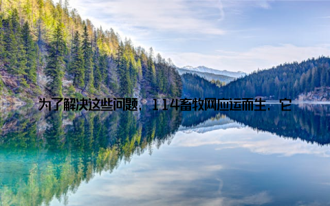 为了解决这些问题, 114畜牧网应运而生, 它将充分发挥互联网优势, 为畜牧产业搭建一个高效、便捷的信息交流平台