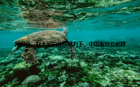 我相信, 在大家的共同努力下, 中国畜牧业必将迎来更加美好的明天我想对所有的畜牧人说, 让我们携手共进, 为畜牧业的辉煌未来而努力!